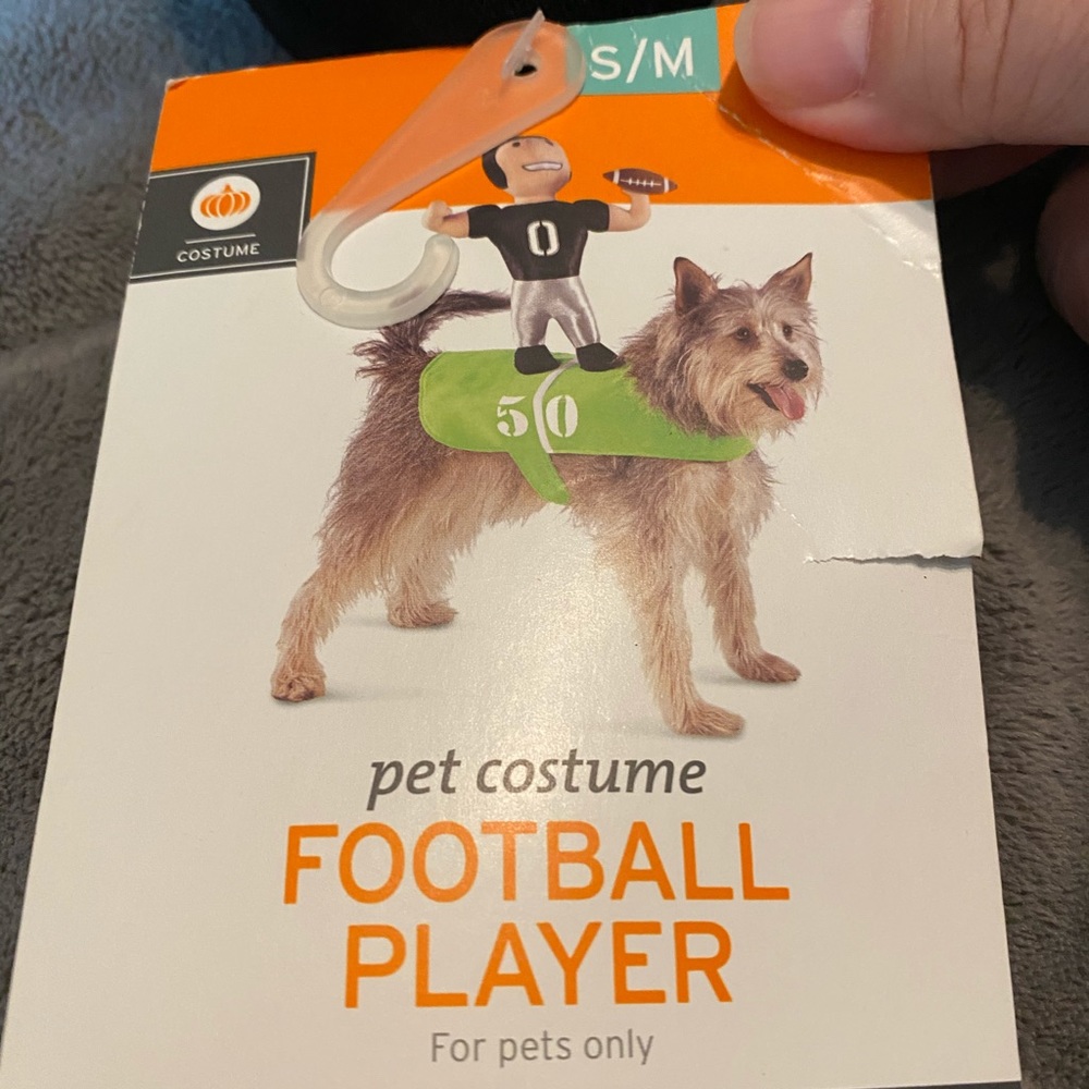 Football player dog costume